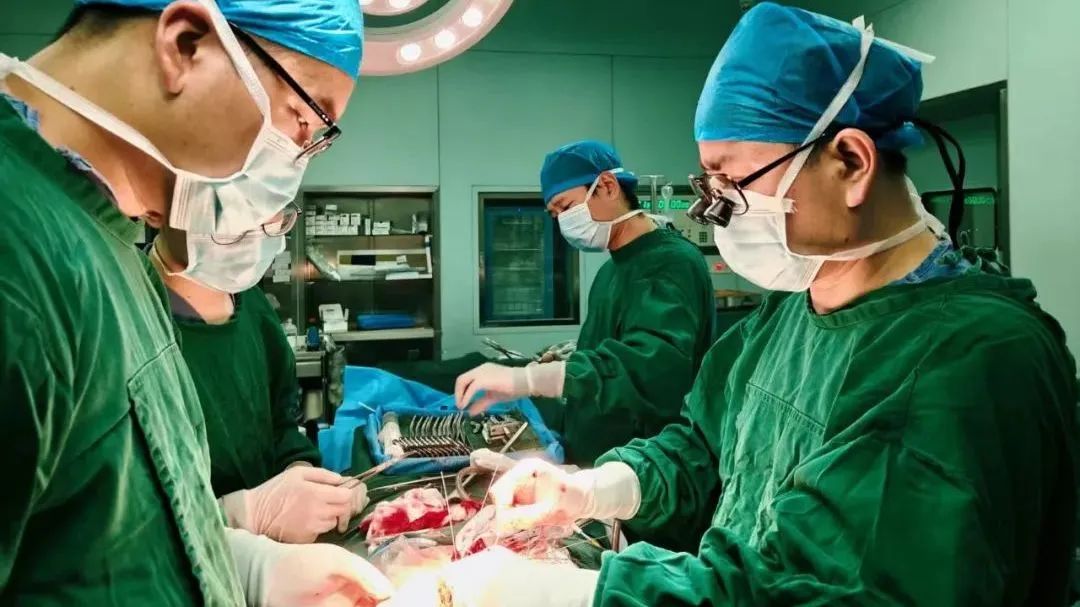 【学经典 树仁心】张琭：为老区人民守住“心”门
